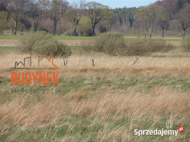 Działka rolna Karsino