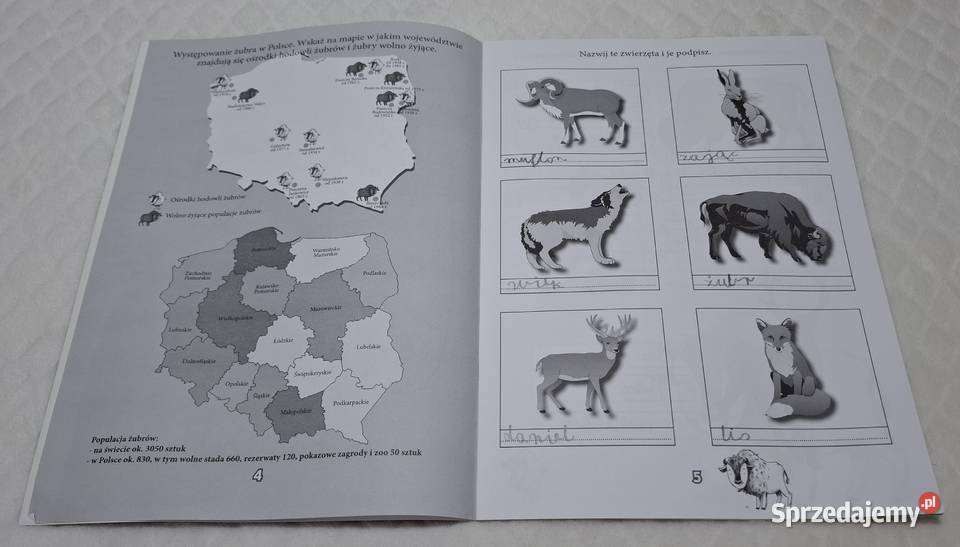 Zagroda Żubrów w Pszczynie Książeczki dzieci Książki dla dzieci Czeladź