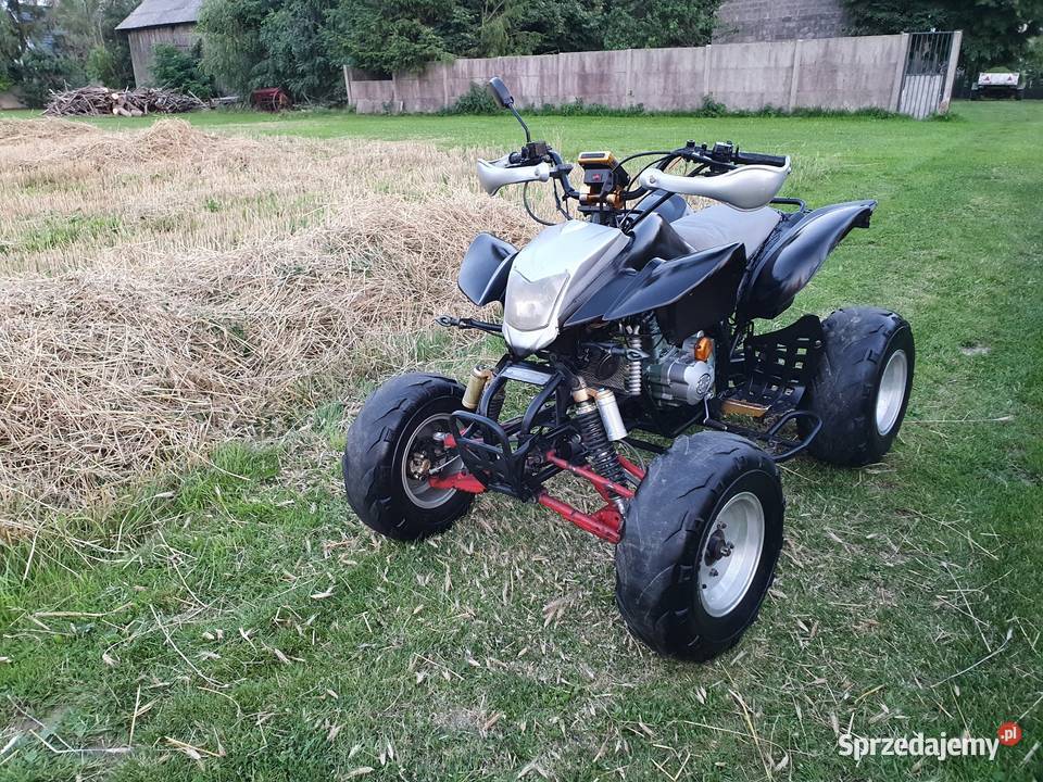 Quadziki bashan Zarjerestrowany Krajno Pierwsze