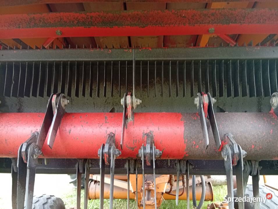 Sprzedam bizona ZO56 Boczki Chełmońskie