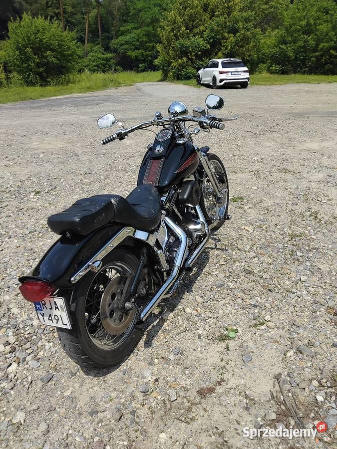 Harley Davidson Springer Jarosław
