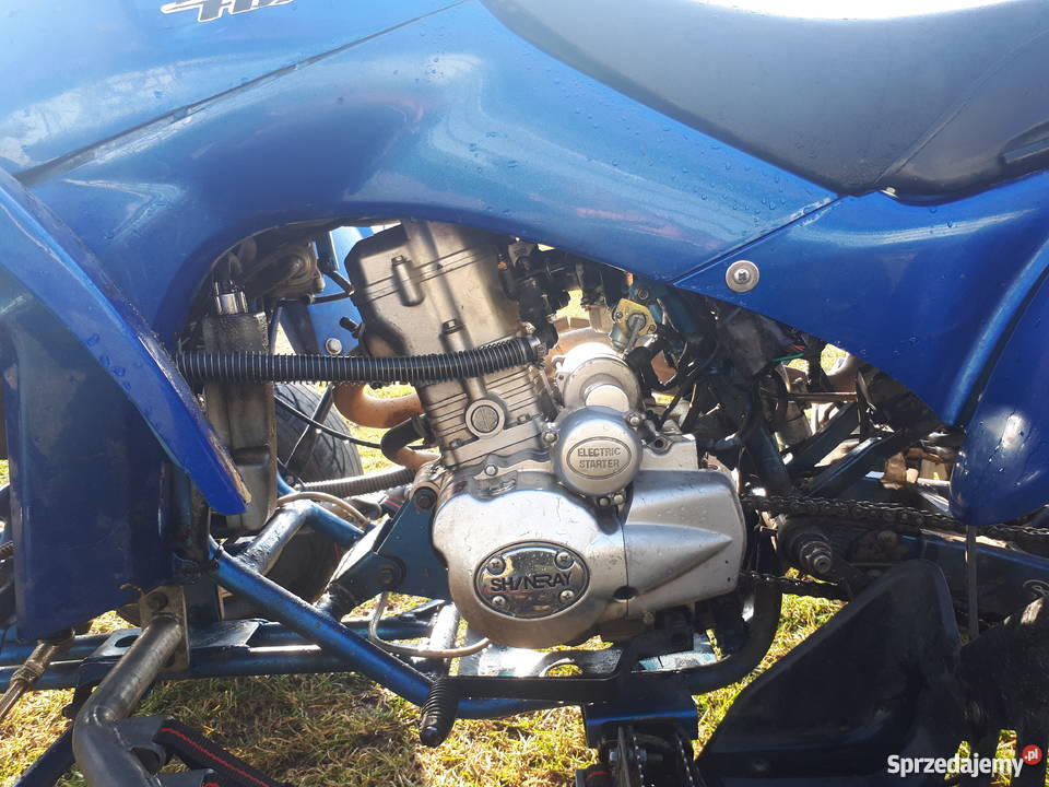 Shineray Spyder 250 Sucumin