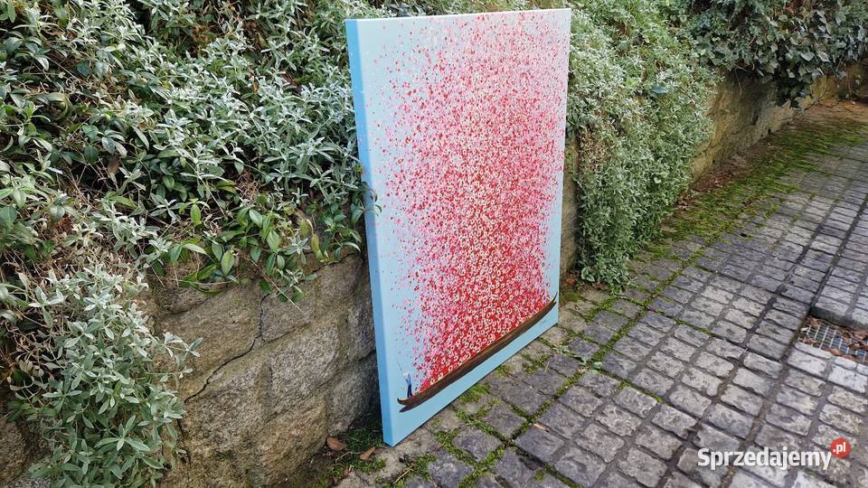 Obraz Touched Flower Boat 80x100 kolorowy dolnośląskie Jelenia Góra sprzedam