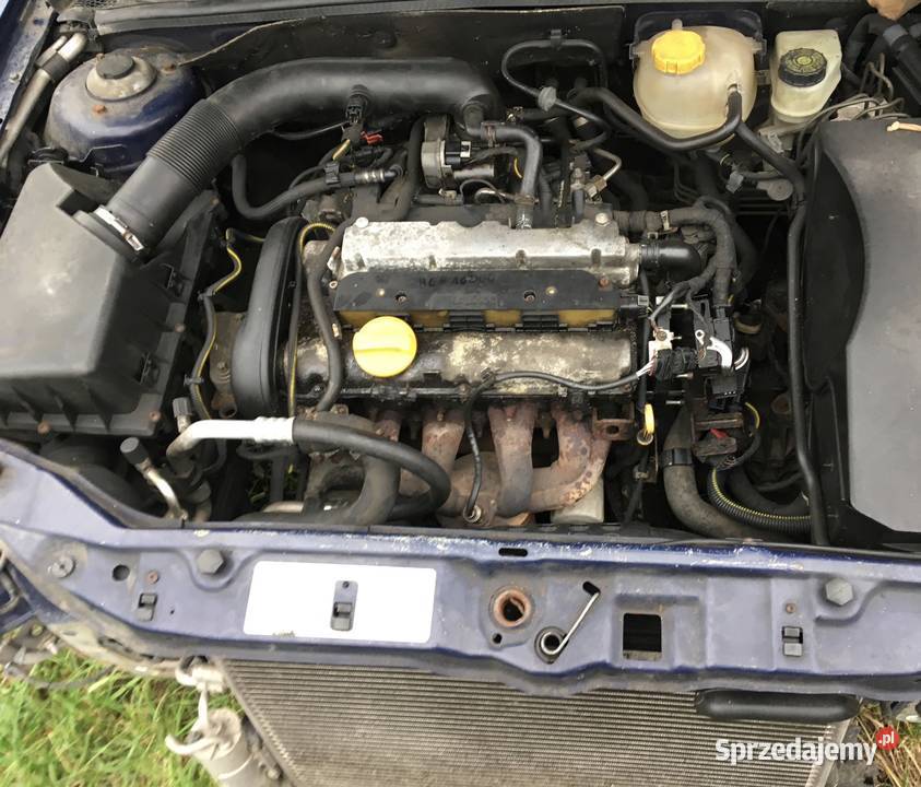 wiązka silnika Opel Vectra c z16xe 16 16V mazowieckie sprzedam