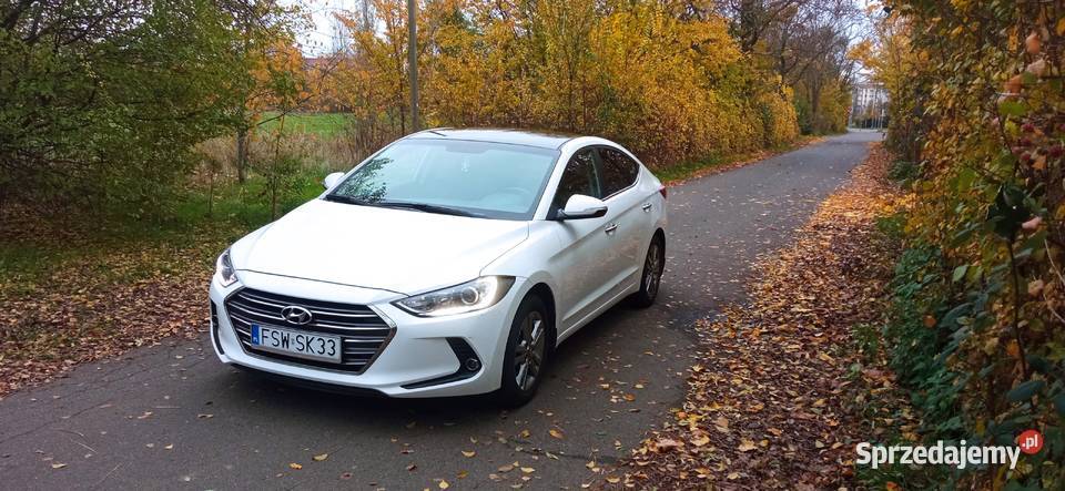 Hyundai Elantra 16 MPI AUTOMAT salon Polska Świebodzin