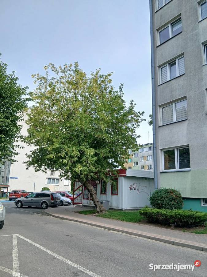 Wynajmę pawilon handlowousługowy Oława