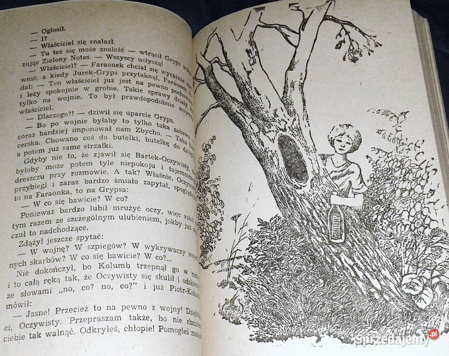 Cień słońca Jan Piepka