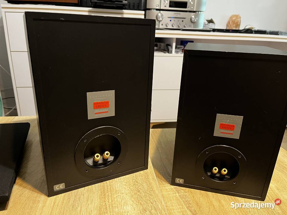 Dynaudio Audience 5 Znakomite duńskie monitory Opole