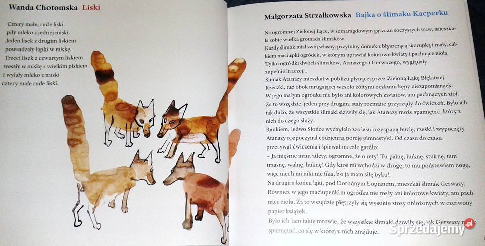 Pierwsze czytanki J Wilkoń R Leszczyński i inni Chełm