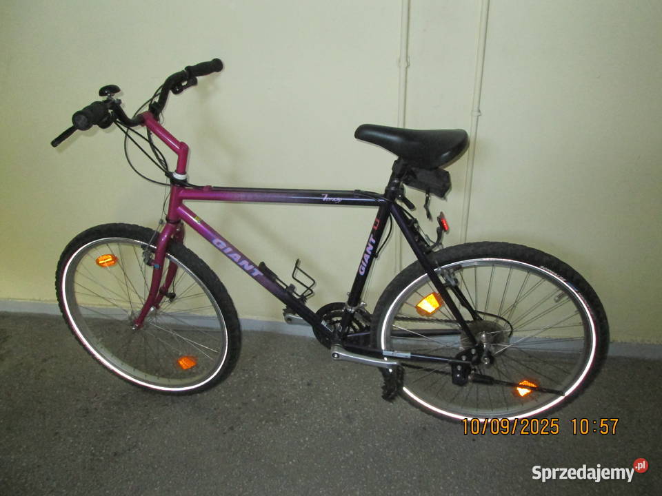 Giant Terrago Wrocław