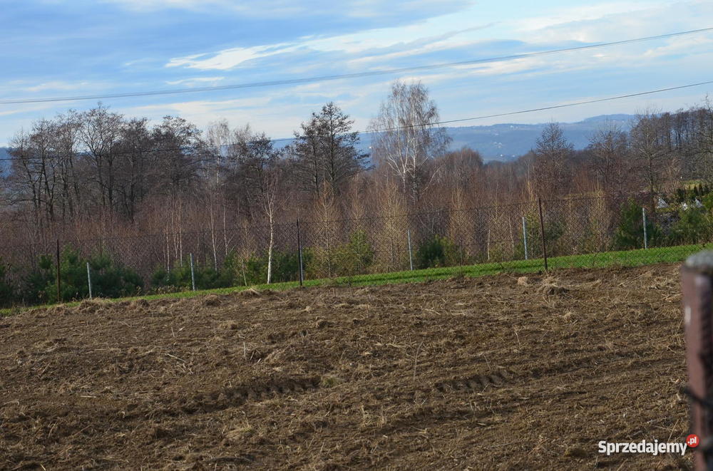 Poręba Radlna budowlanorolna 47 arów uzbrojona