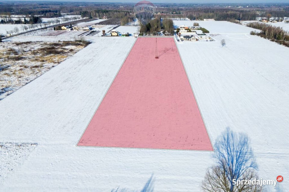 Grunt inwestycyjny 234 ha 3 S8 Grzmiąca sprzedam