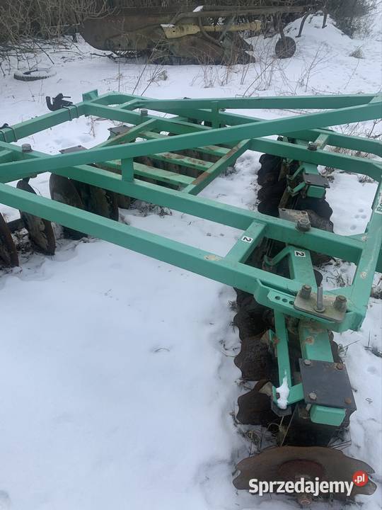 Talerzówka nieuszkodzony Pozostałe Bruszewo