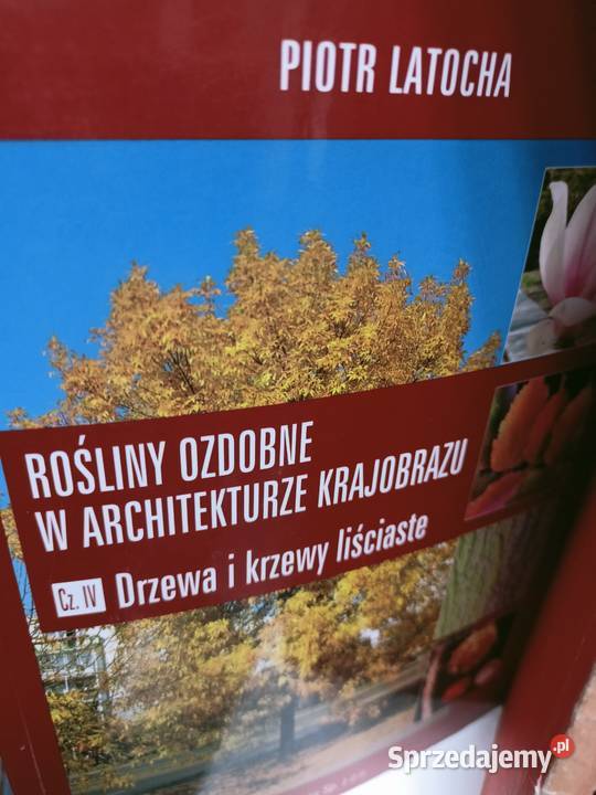 Rośliny ozdobne Hortpress w architekturze Warszawa sprzedam