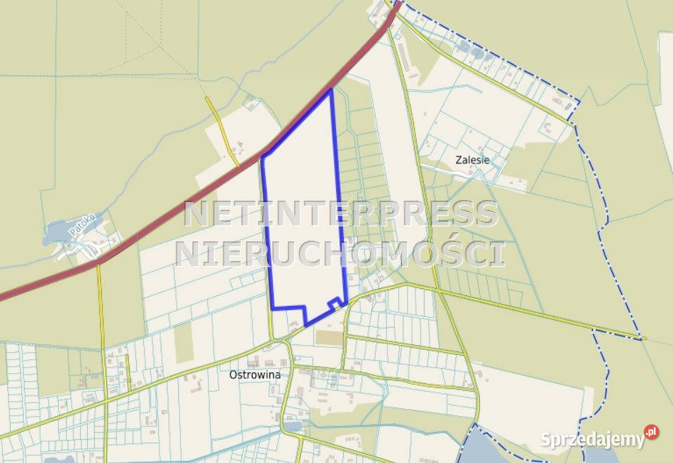 Działka 173900m2 Oleśnica Sprzedaż Sprzedaż dolnośląskie