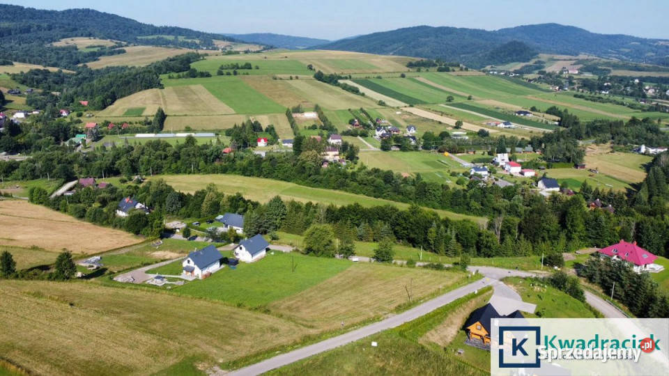 Działka Baligród Podgłębokie 2038m2 Nieruchomości