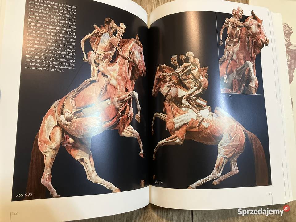 Gunther von Hagens Krperwelten Body Worlds Książki i Podręczniki mazowieckie Warszawa sprzedam