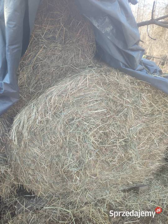 Siano Słoma sianokiszonka 120x120 Biała Podlaska