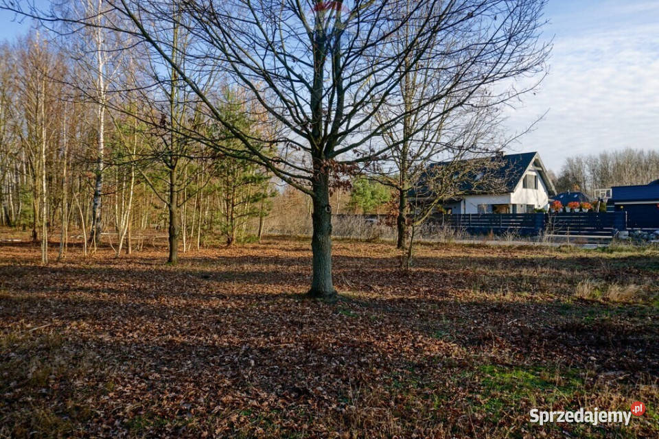 Działka budowlana 1004m2 Grądy k Żyrardowa