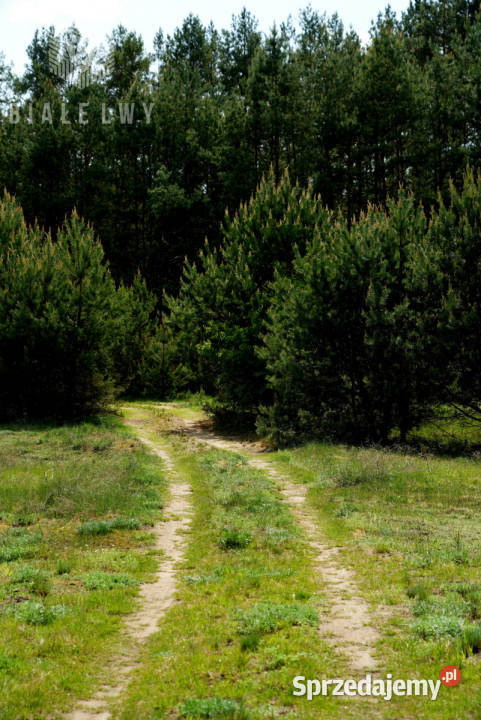 sprzedaży działki Nowe Borsuki 1200m2