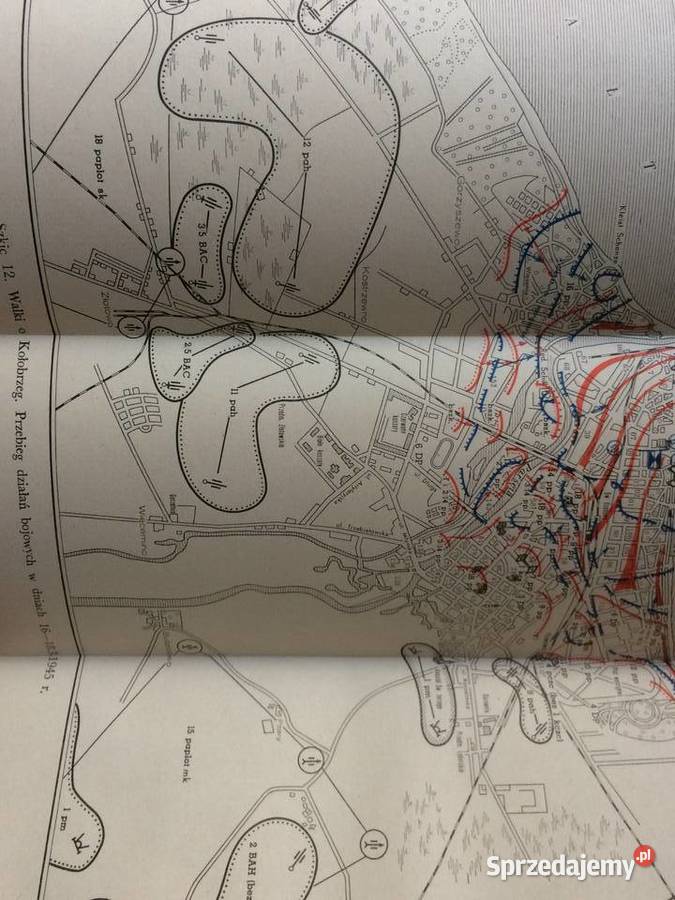 3007 Wyzwolenie Pomorza Szczecin