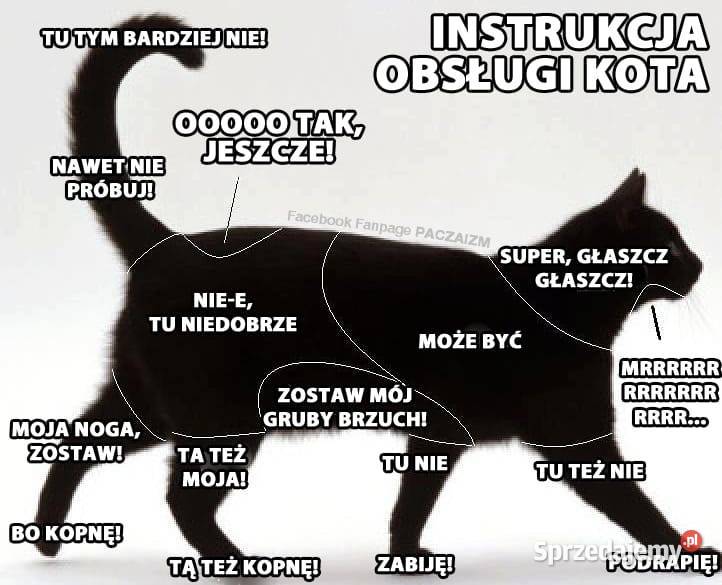 OPIEKA ZWIERZĘTAMI I SPRZĄTANIE MIESZKAŃ dolnośląskie