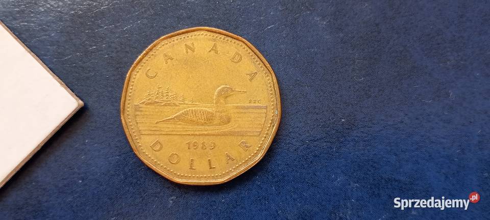 Stare monety 1 dolar 1989 Kanada Lesko sprzedam