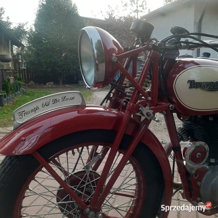 Triumph 6S 600ccm Kurzętnik