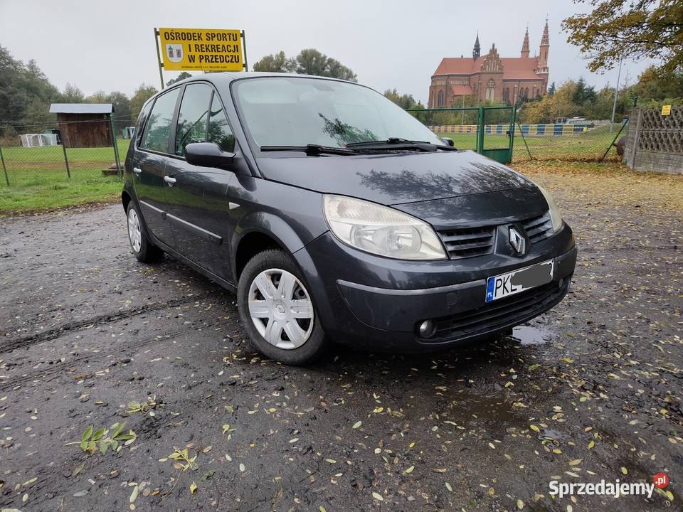 Scenic 2 II 15 dCi teb66 części błotnik pas wielkopolskie sprzedam