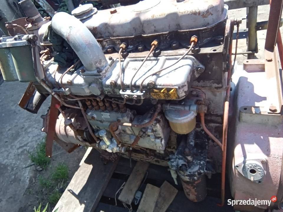Silnik do bizona sw 400 leyland fadroma dźwig Gniezno sprzedam