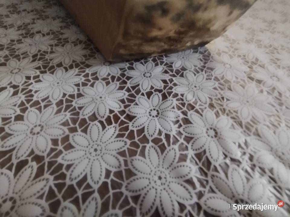 Wiiecznik dębowy kujawsko-pomorskie Szubin