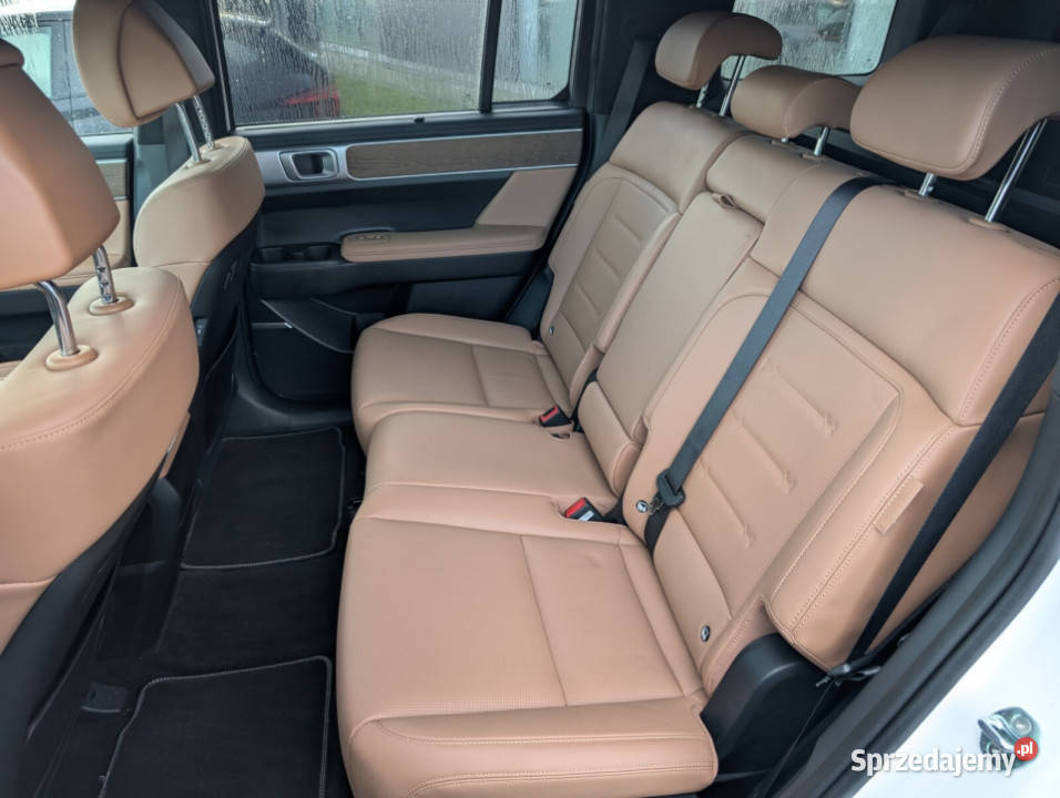 Nowej Generacji 16 TGDI HEV 6AT 4WD Platinum wielkopolskie Kalisz