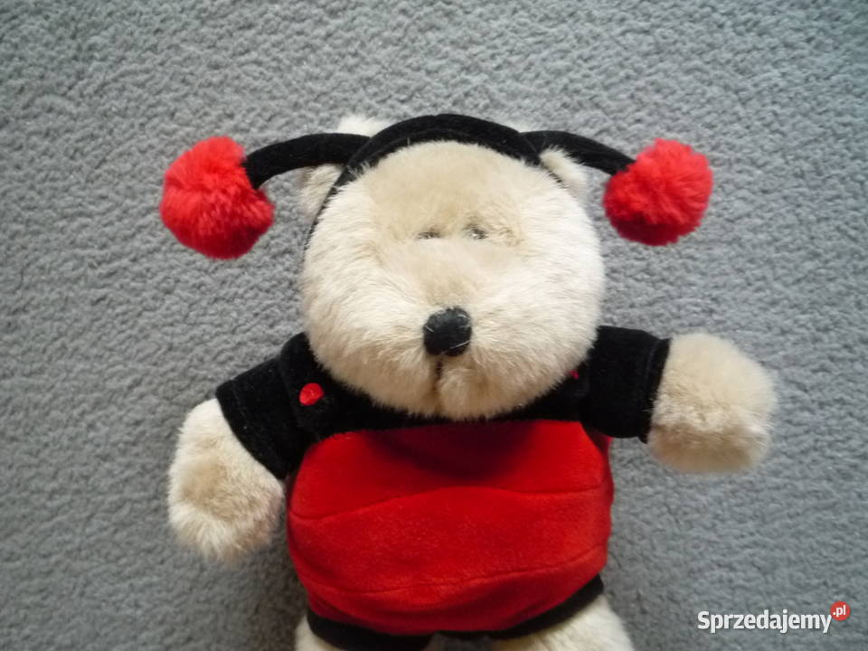 Nowa Maskotka pluszak Biedronka Starbucks Coffe Szczecin