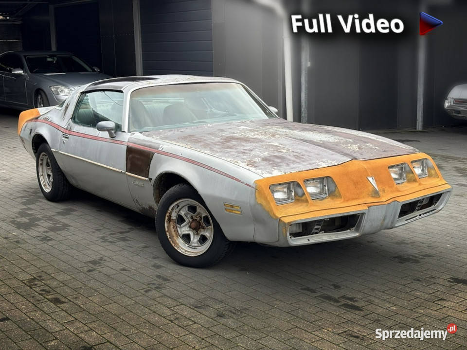 Pontiac Firebird Trans Am Pontiac Firebird 1981 benzyna Sulechów