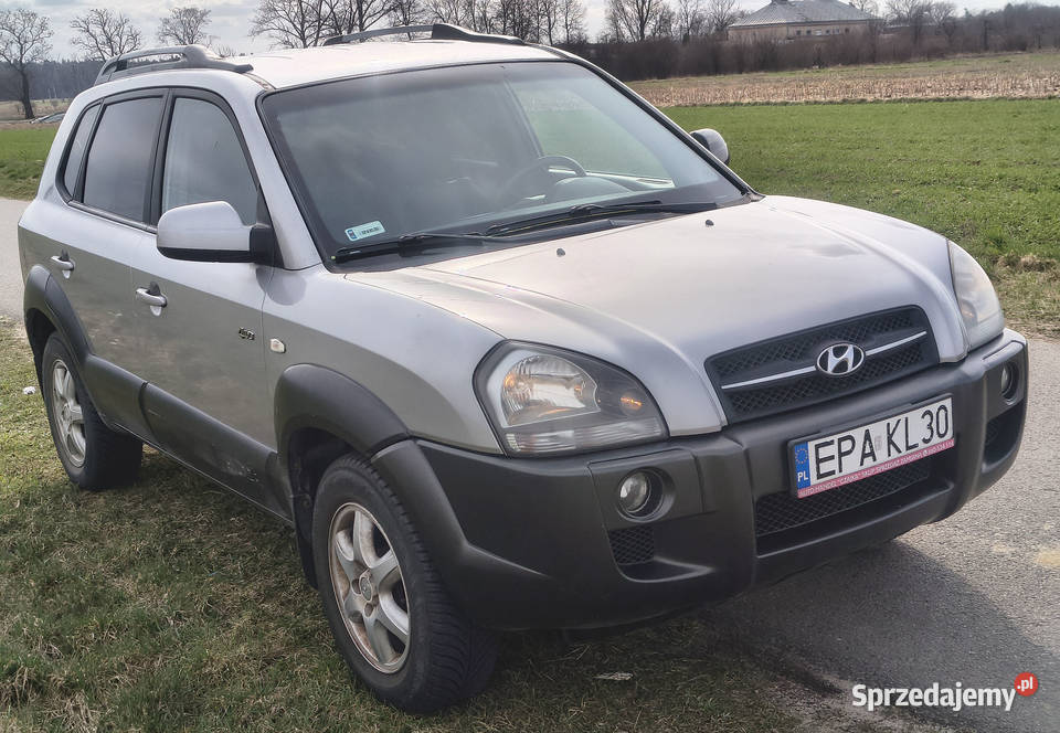 Hyundai Tucson 2004 4WD 20 CRDi Stan Bogate