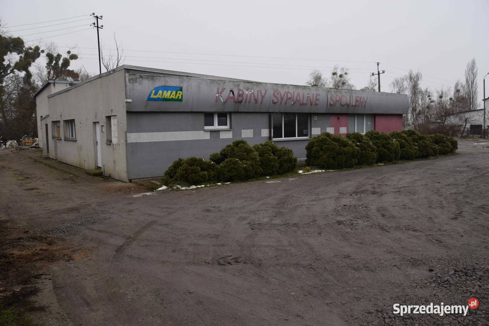 Syndyk sprzeda nieruchomość zabudowaną budynkiem Sprzedaż mazowieckie Sochaczew