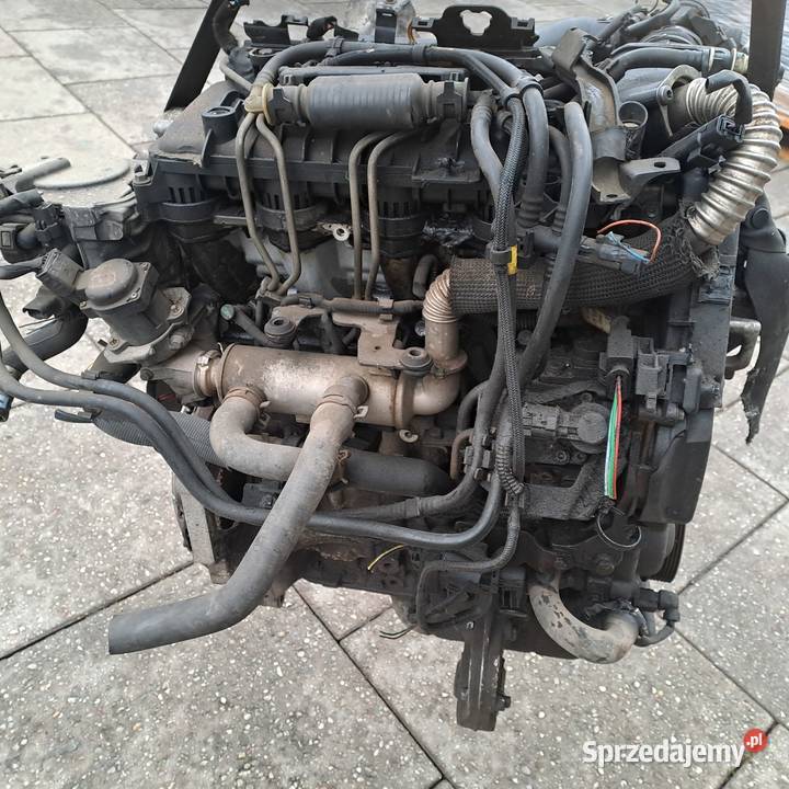 Peugeot Partner 16 HDi 75 silnik kompletny kod Silniki kompletne Jastrzębie-Zdrój sprzedam