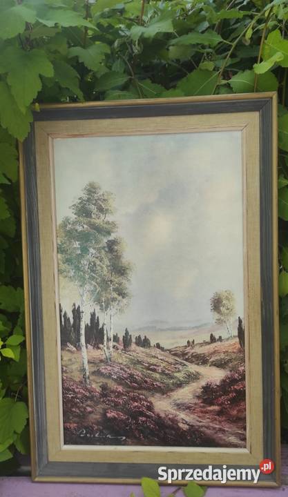 Pejzaż Oleodruk 58 x 38 Obraz w drewnianej ramie Pabianice