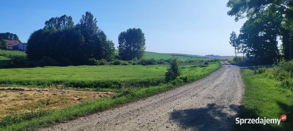 Siedlisko Dom 90 m 65 ar budynki gospodarcze 3 Hrebenne
