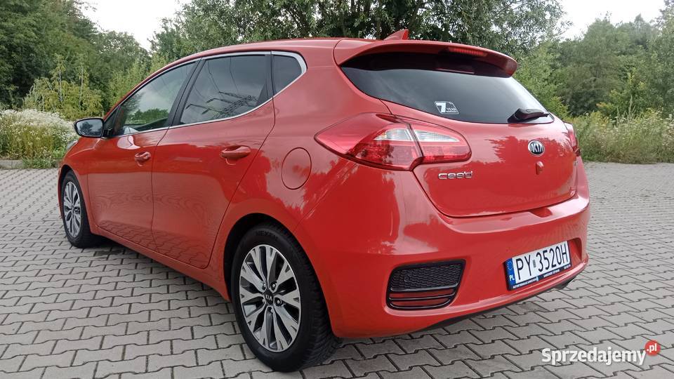 PREMIUM NAVI KAMERA 2017 LED PEŁEN SERWIS Poznań