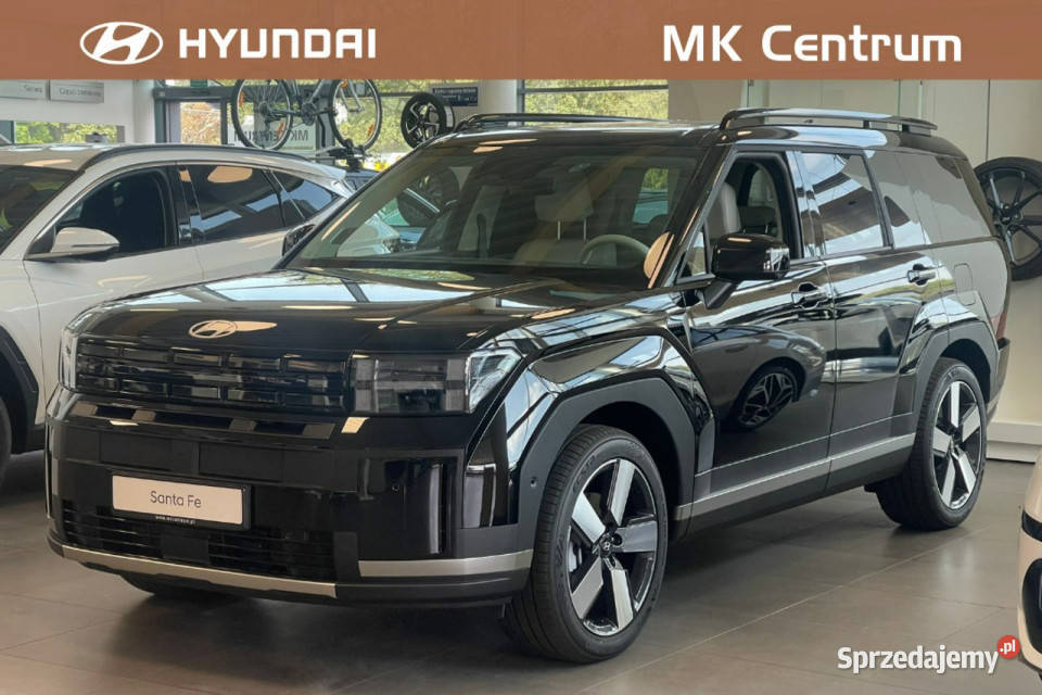 Hyundai Santa Fe 6AT 4WD wersja Platinum Sun klimatyzacja Piotrków Trybunalski