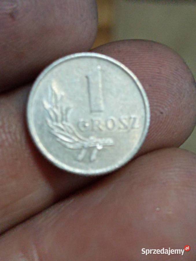Sprzedam monete 1 grosz 1949 r bez znaku mennicy Chełm