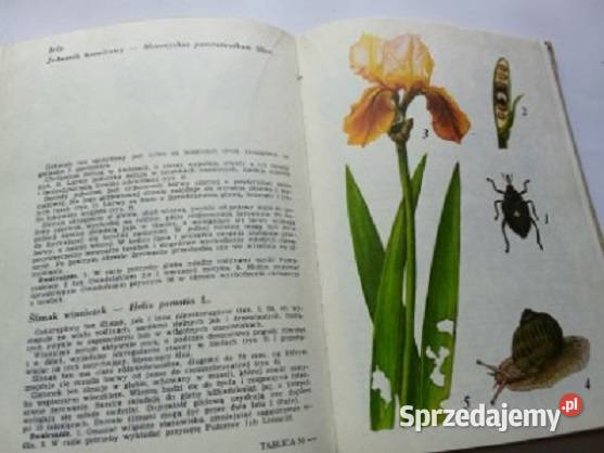 Atlas chorób i szkodników roślin ozdobnych Książki naukowe i popularnonaukowe łódzkie Łódź