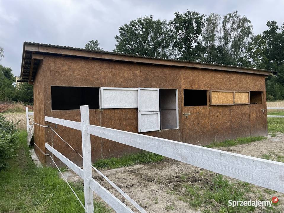Stajnia drewniana z budynkiem gospodarczym