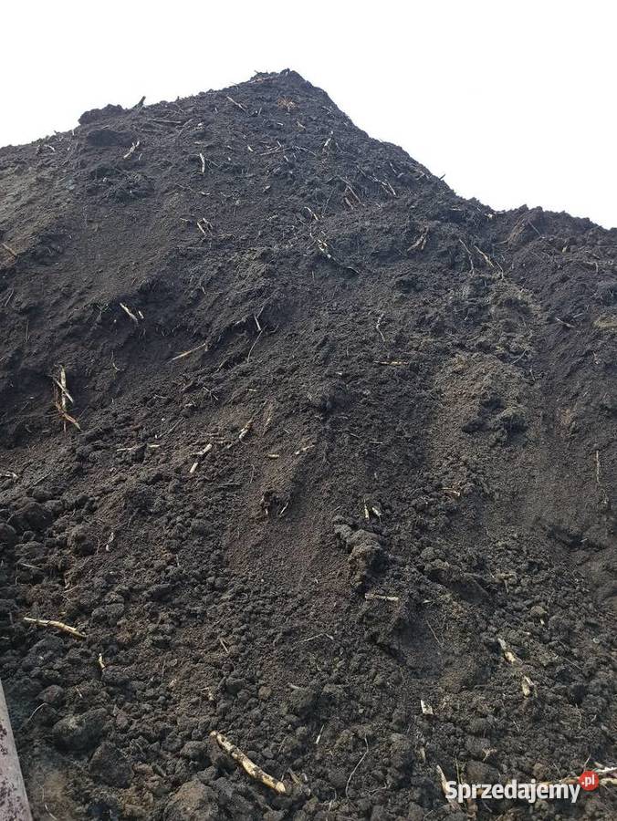 Sprzedam ziemię na działkę czarnoziem Lucynowo