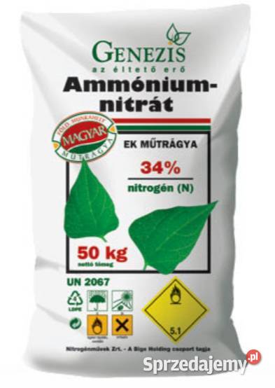 Saletra wegry Skalbmierz