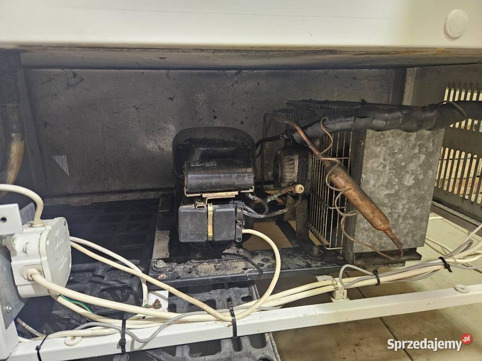 Lada chłodnicza Bochnia WCh1 prosta szyba Pszczyna