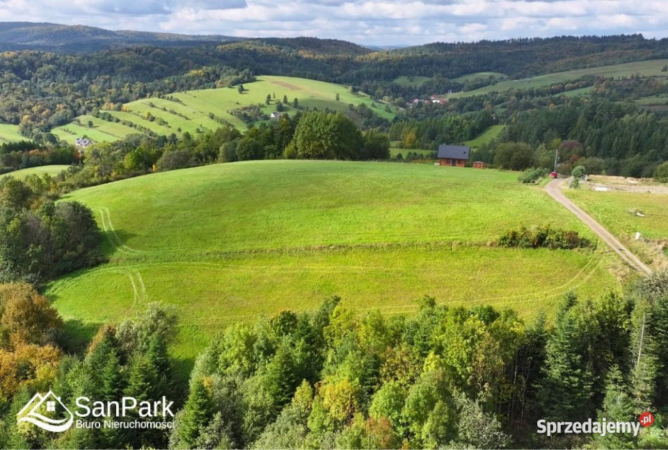 Grunt 3900m2 Wołkowyja 3900m2 podkarpackie
