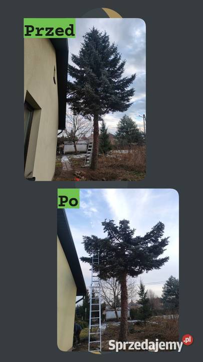 Usługa do działek ogrodów i prac przydomowych Hrubieszów