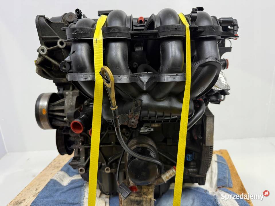 SILNIK Ford B B Fiesta VII MK7 16 16V Ti benzyna lubelskie Rudka